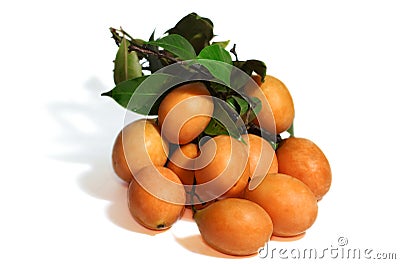 Exotic Thai Fruit. Maprang, Marian plum Stock Photo