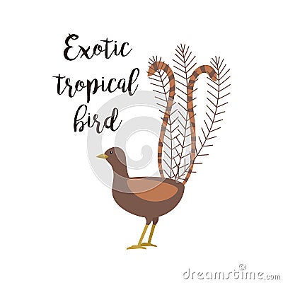 Exotic tropical brown bird Vector Illustration