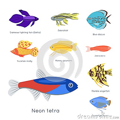 Exotic tropical fish different colors underwater ocean species aquatic nature flat isolated vector illustration Vector Illustration