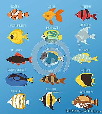 Exotic tropical fish race different breed colors underwater ocean species aquatic strain nature flat vector illustration Vector Illustration