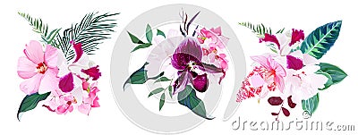 Exotic tropical floral bouquets of hibiscus, medinilla, paphiope Vector Illustration
