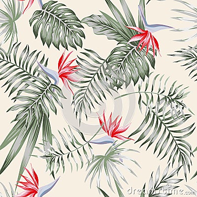 Strelitzia red light pattern seamless Vector Illustration