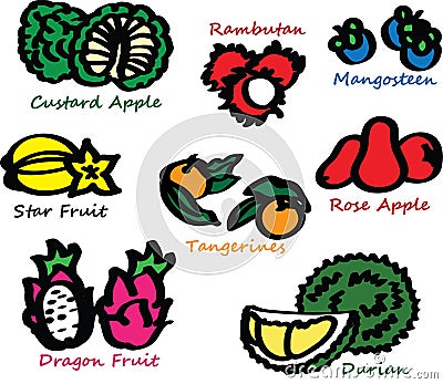 Exotic Tropical Fruit Vector Illustration