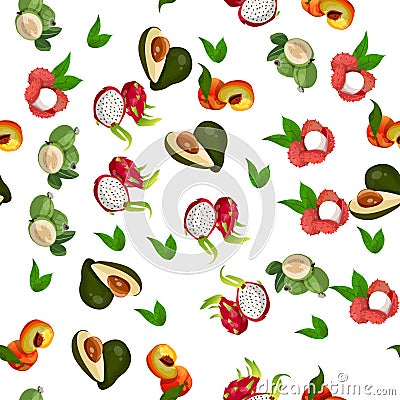 Exotic tropical fruit Vector Illustration