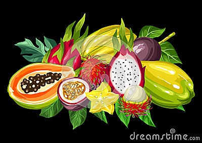 Exotic tropical fruits collection. Illustration of asian plants Vector Illustration