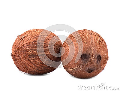 Exotic, tropical and organic coconuts, isolated on a white background. Two whole and healthy nuts. Bright brown coconuts. Stock Photo