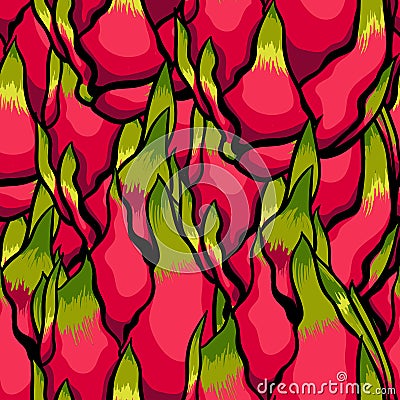 Exotic vector pattern. Dragon fruits on the bright white background. Vector Illustration