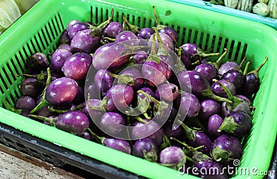 Pea Eggplant violet in the basket on the market Stock Photo