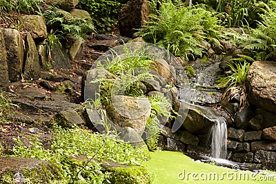 Exotic waterfall in the garden Stock Photo