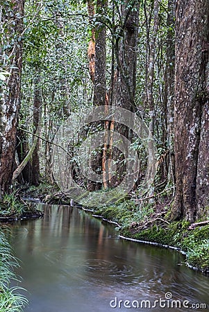 Exotic waterfall in green forest Stock Photo