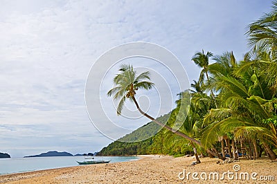 Exotic Wild Beach Stock Photo