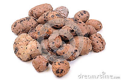 Expanded Clay Aggregate Stock Photo