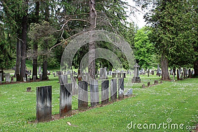 Expansive lawns with hundreds of weathered headstones, Oakwood Cemetery, New York, 2019 Editorial Stock Photo