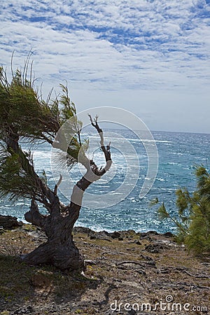 Expedition in the region of ramena madagascar Stock Photo