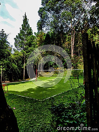 Playing field for those who like volleyball, playing in the middle of the forest. Stock Photo
