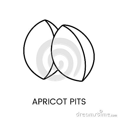 Experience the versatility and nutritional benefits, Apricot kernels icon in vector format. A sleek line representation Vector Illustration