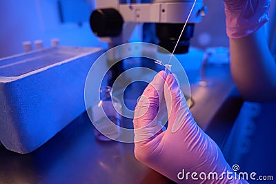 Experienced embryologist preparing biological samples for vitrification Stock Photo