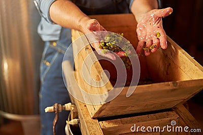 Experienced winemaker separating grape solids from the juice Stock Photo