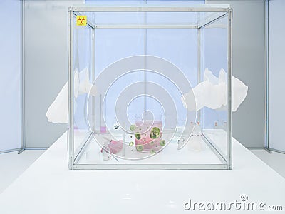 Experiment equipment and materials in sterile chamber Stock Photo