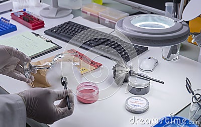 Expert Police get refringentes from a broken glass bottle in Criminalistic Lab Stock Photo