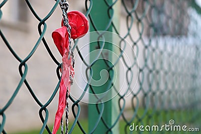 Exploded balloon hanging on green wire mesh Stock Photo