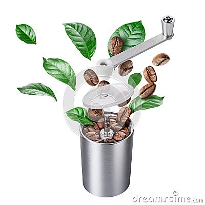 Exploded view of coffee grinder with roasted beans and leaves Stock Photo