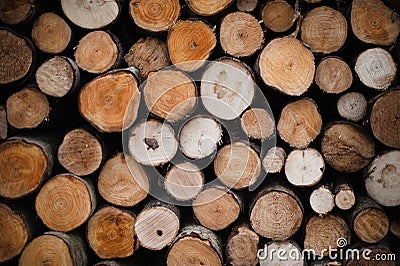 Natural Elegance: Cut Log Pattern Stock Photo