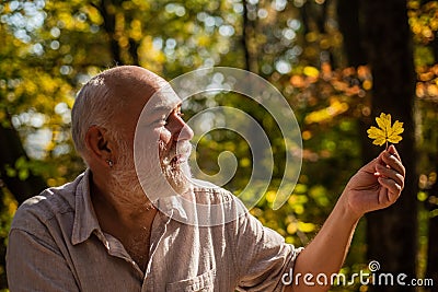 Explore world around. Pensioner hiking in forest on sunny autumn day. Man enjoy autumn nature. Old man collect leaves Stock Photo