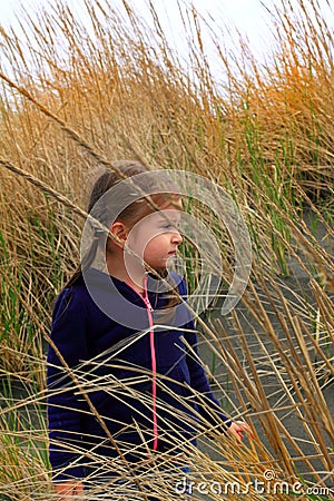 Exploring beach grass Stock Photo