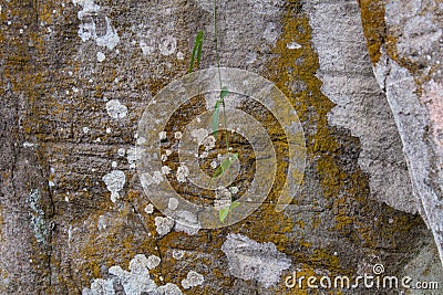 Exploring the Creative Possibilities of Rock Wall Backgrounds Stock Photo