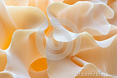Exploring intricate 3D lattice structures that resemble organic tissue with soft lighting and tactile patterns Stock Photo