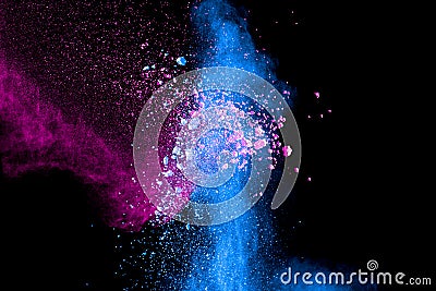 Explosion of pink blue colored powder isolated on black background.Blue pink dust splash Stock Photo