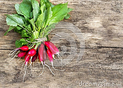Exposition of fresh organic radish vegetables on woodetable Stock Photo