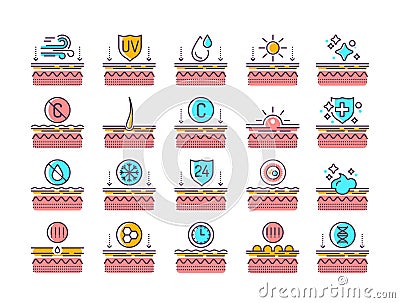 Exposure to skin external factors, aging, care, genetics line color icons set. Human skin layers. Signs for web page, mobile app, Stock Photo