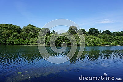 The Summertime Expressions of Nature. Stock Photo