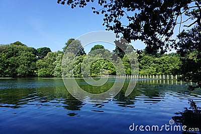 The Summertime Expressions of Nature. Stock Photo