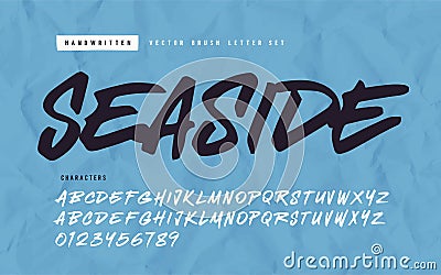 Expressive handwritten calligraphic vector brush letter set Vector Illustration