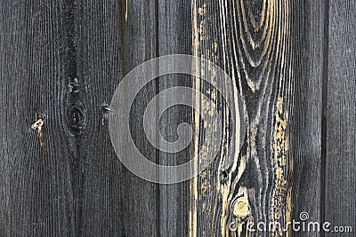Expressive wooden texture Stock Photo