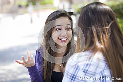 Expressive Young Mixed Race Female Sitting and Talking with Girl Stock Photo