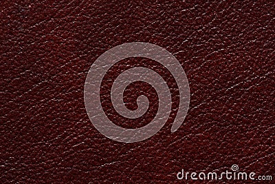 Exquisite leather texture in contrast dark red colour. Stock Photo