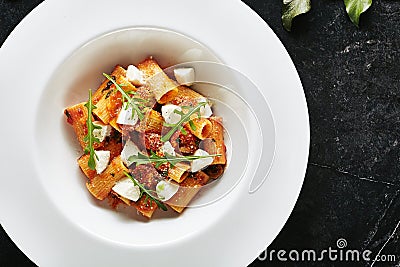 Homemade Rigatoni in Tomato Sauce with Milk Mozzarella Stock Photo
