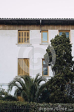 Exterior building with white facade, yellow windows surrounded with palm trees and greenery Stock Photo