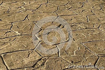 Exterior Decorative Cement Flooring, Perspective View of Stamped Concrete Pavement Stock Photo