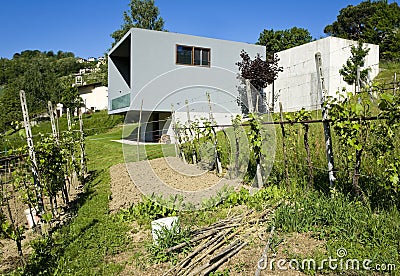 Exterior of a modern colored concrete house. A cube in the middle of the green Stock Photo