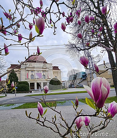 Exterior of Opera House building seen through magnolia flowers, in the city center of Graz, Steiermark region, Austria. Selective Stock Photo