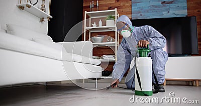 Exterminate Pest Termites Stock Photo