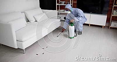 Exterminate Pest Termites Stock Photo