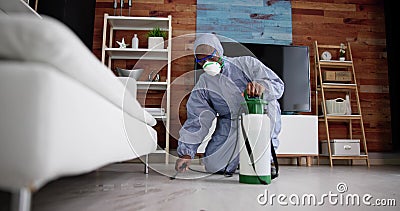 Exterminate Pest Termites Stock Photo