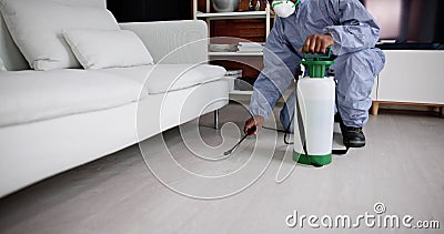 Exterminate Pest Termites Stock Photo