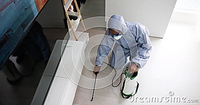 Exterminate Pest Termites Stock Photo